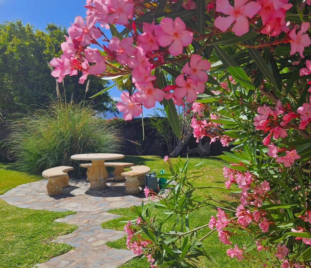 Villa Cristal - Luxury Villas Tenerife - 7